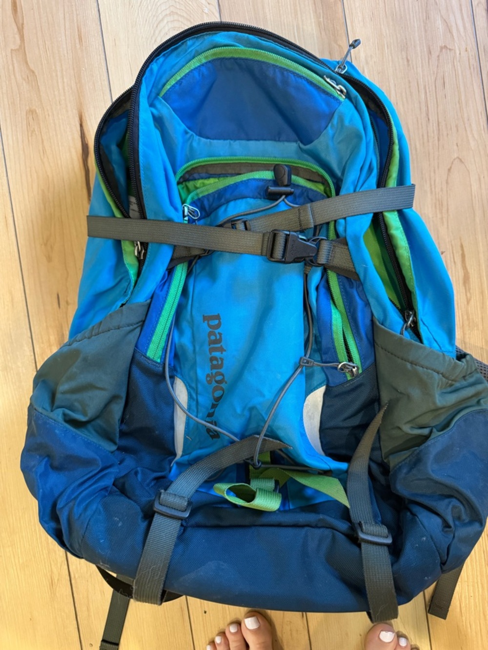 Patagonia Blue and Green Hiking Backpack